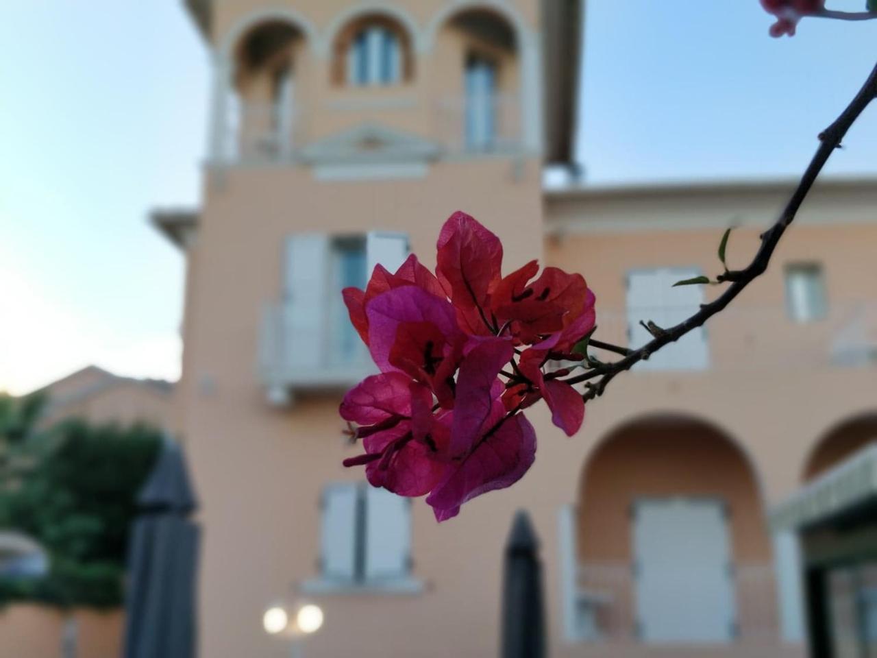 Hotel Et Appartements Reine D'Azur Roquebrune-Cap-Martin Eksteriør bilde